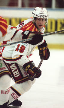 Tom Bissett, Brynäs