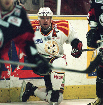 Pär Djoos, Brynäs