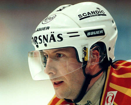 Tom Bissett, Brynäs