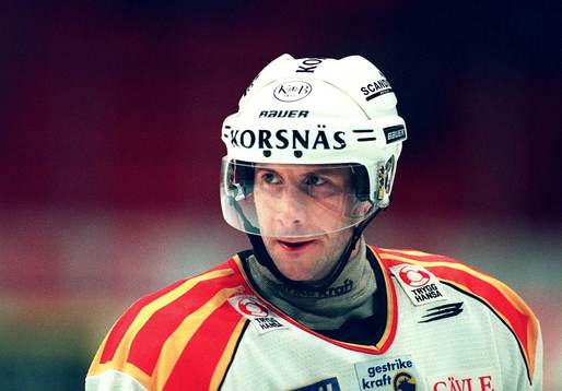 Tom Bissett, Brynäs