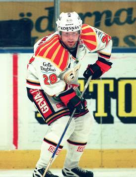 Andreas Custemo, Brynäs