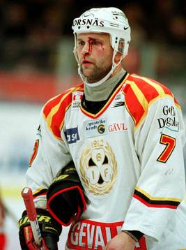 Tommy Sjödin, Brynäs