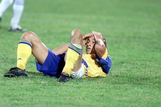 Henrik Larsson, Sverige