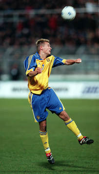 Niclas Alexandersson, Sverige