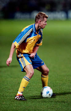 Niclas Alexandersson, Sverige