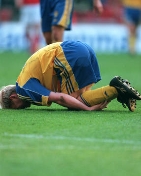 Anders Andersson, Sverige