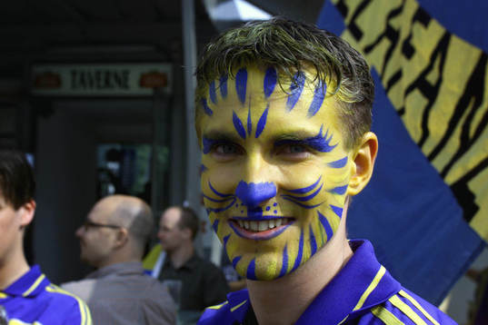 Ansiktsmålad (Ansiktsmålning) Svensk supporter