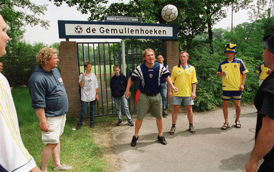 Supporter Sverige