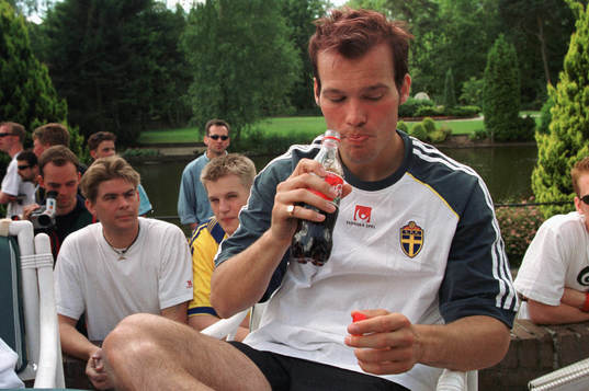 Fredrik Ljungberg, Sverige