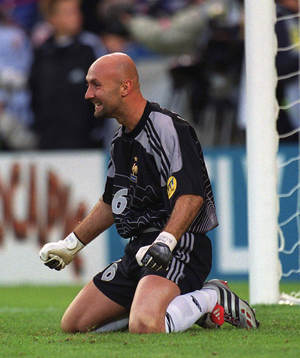 Fabian Barthez, Frankrike jublar