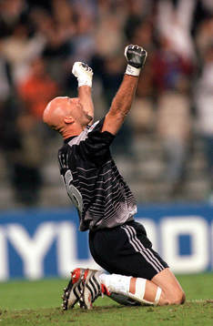 Fabien Barthez, Frankrike