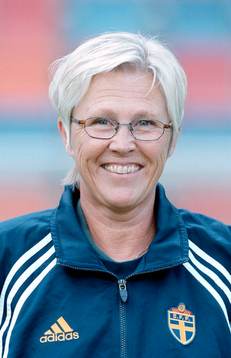 Anna-Lena Kjellman, Pressansvarig Sverige