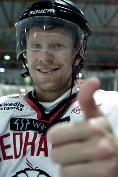 David Petrasek, Malmö