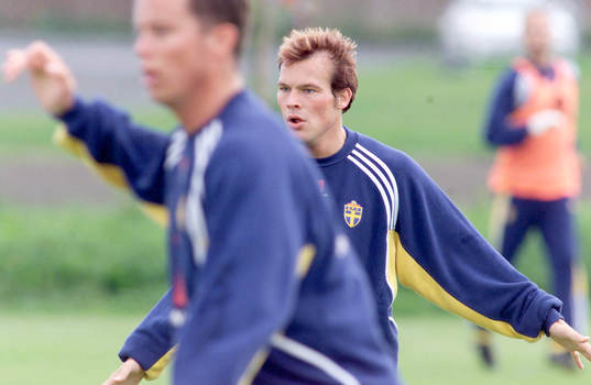 Fredrik Ljungberg, Sverige
