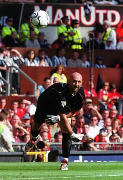 Fabian Barthez, Manchester