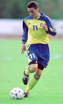 Alexander Malmström, Sverige