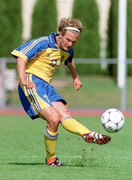 William Leandersson, Sverige