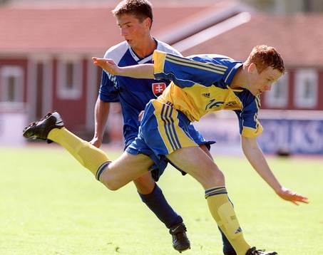 Alexander Farnerud, Sverige