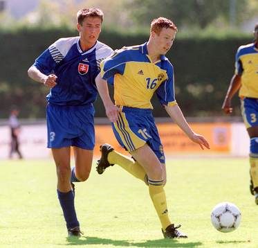 Alexander Farnerud, Sverige