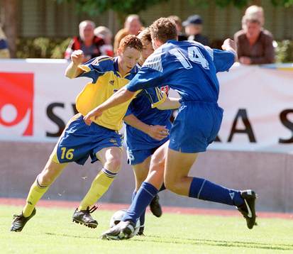 Alexander Farnerud, Sverige