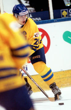 Henrik Zetterberg, Sverige