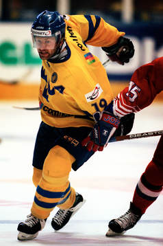 Mikael Renberg, Sverige