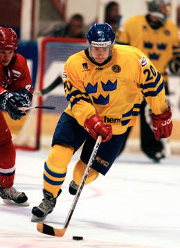 Henrik Zetterberg, Sverige