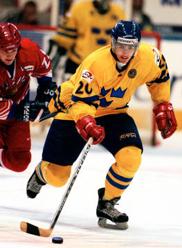 Henrik Zetterberg, Sverige