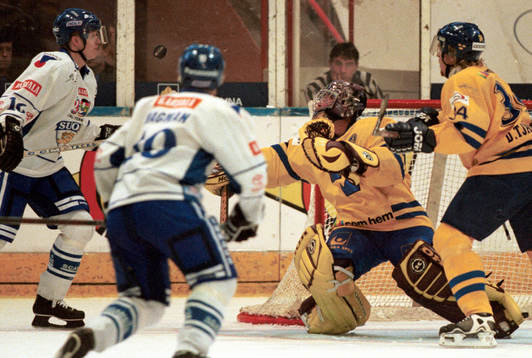 Mikael Tellqvist, Sverige