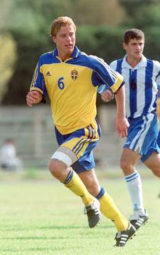 Pontus Farnerud, Sverige