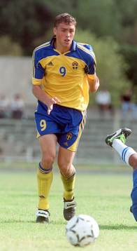 Johan Elmander, Sverige