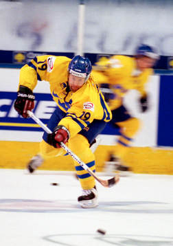 Mikael Renberg, Sverige