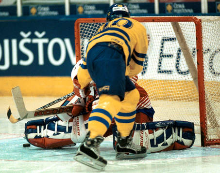 Henrik Zetterberg, Sverige