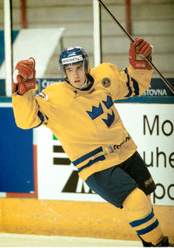 Henrik Zetterberg, Sverige