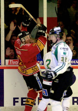Petter Nilsson, Luleå jubel
