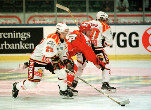 Mikko Luovi, Brynäs