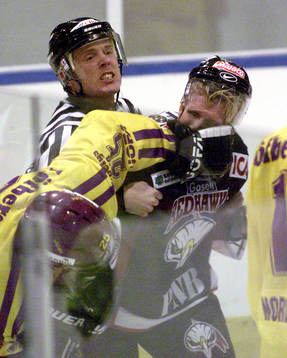1 Ishockey, Elitserien, Malmö - Färjestad