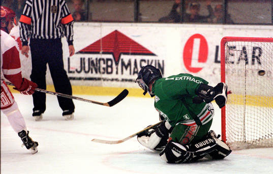 David Nyström, Troja och Magnus Swärdh, Rögle