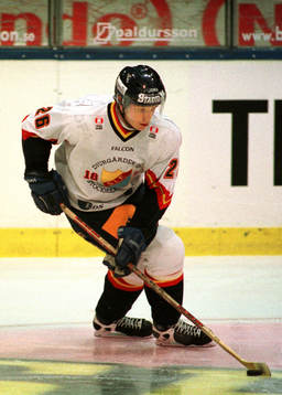 Edvin Frylén, Djurgården