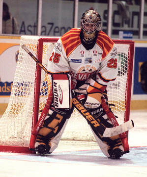 Johan Asplund, Brynäs