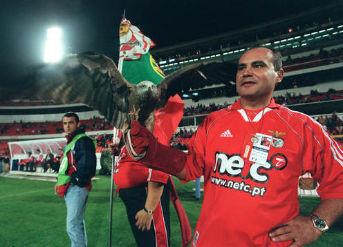 Maskot, Falk Benfica