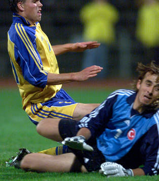 Johan Elmander, Sverige