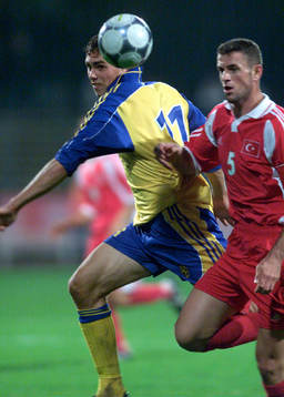 Johan Elmander, Sverige