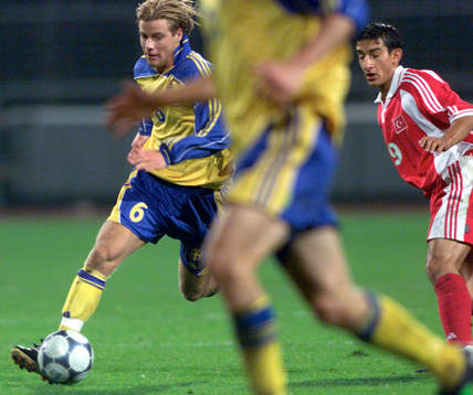Pontus Farnerud, Sverige
