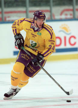 Roger Johansson, Färjestad