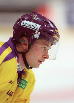 Radek Hamr, Färjestad