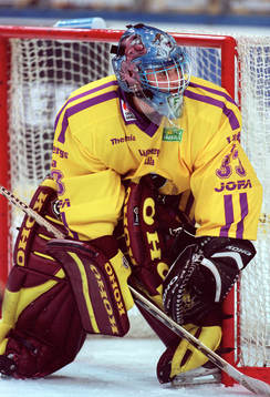 Mikael Gerdén, Färjestad
