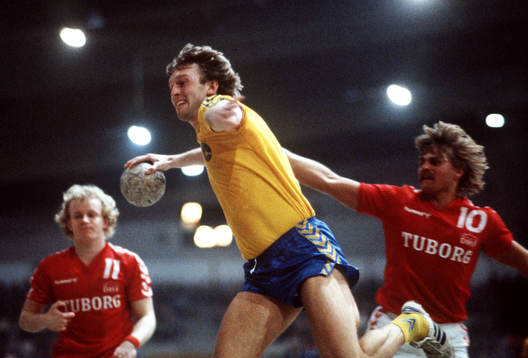 Christer Magnusson, Sverige