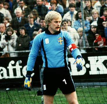 Ronnie Hellström, Sverige