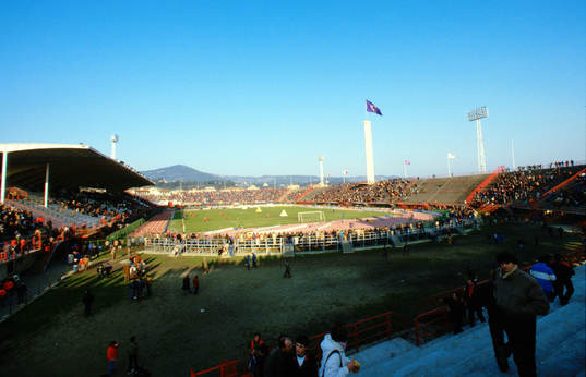Stadio Firenze, Fiorentina